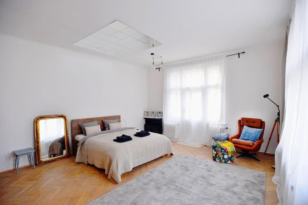 Apartament Airy & Bright Flat In Dejvice By Castle Praga