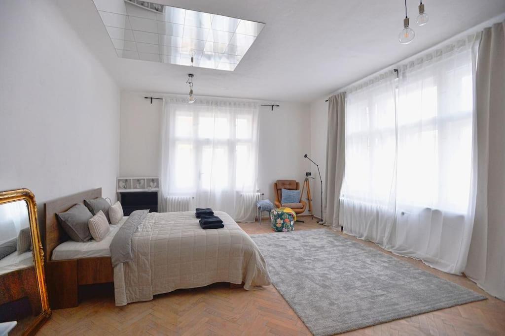 Airy & Bright Flat In Dejvice By Castle