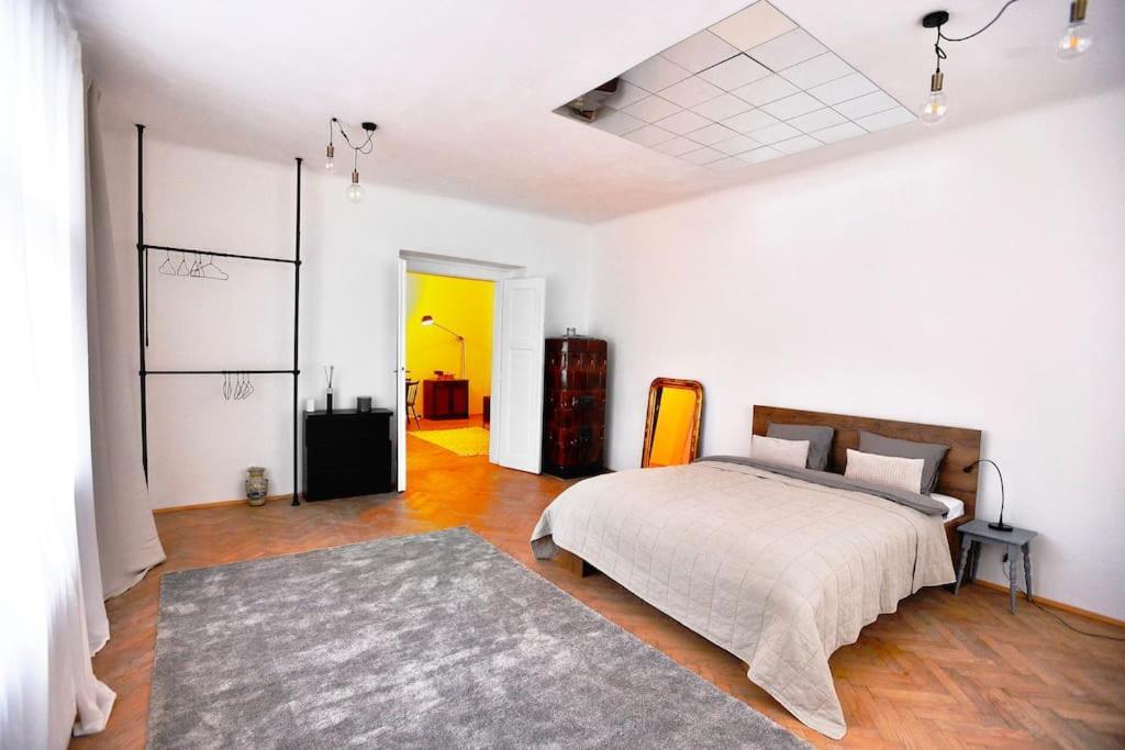 Airy & Bright Flat In Dejvice By Castle *